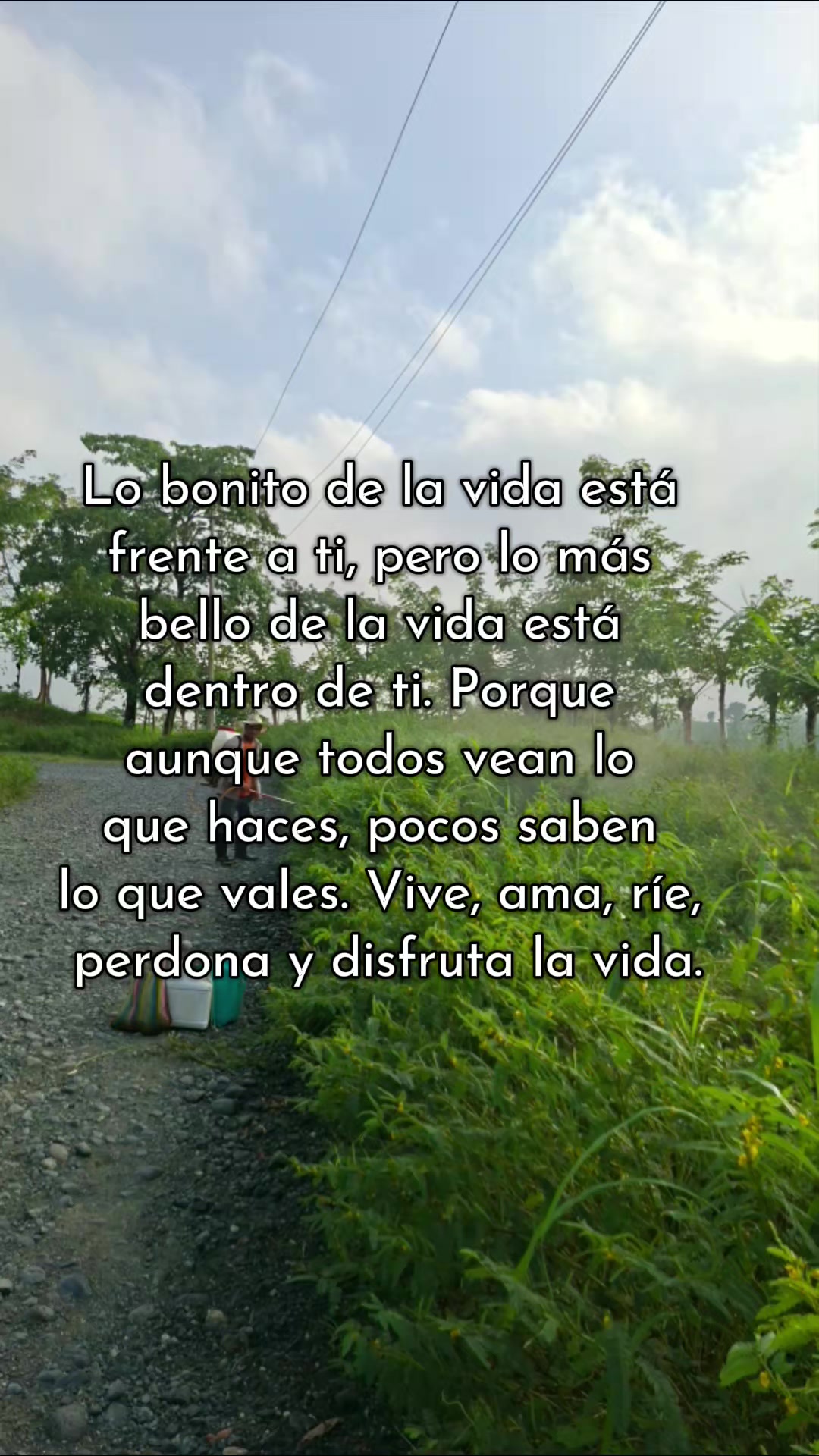 @Juan Altunar
