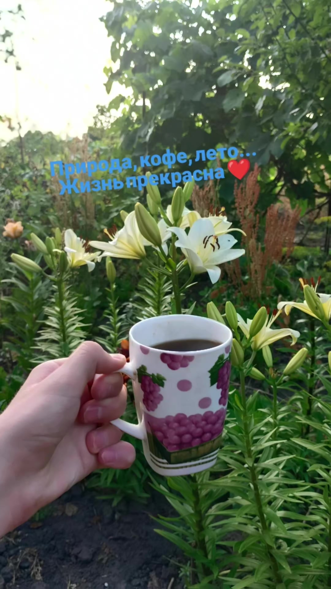 @Денчик