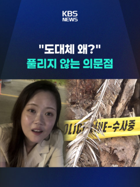 @KBSNEWS