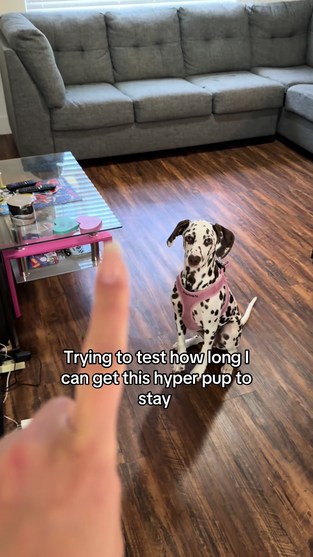 @Corinne Olivia