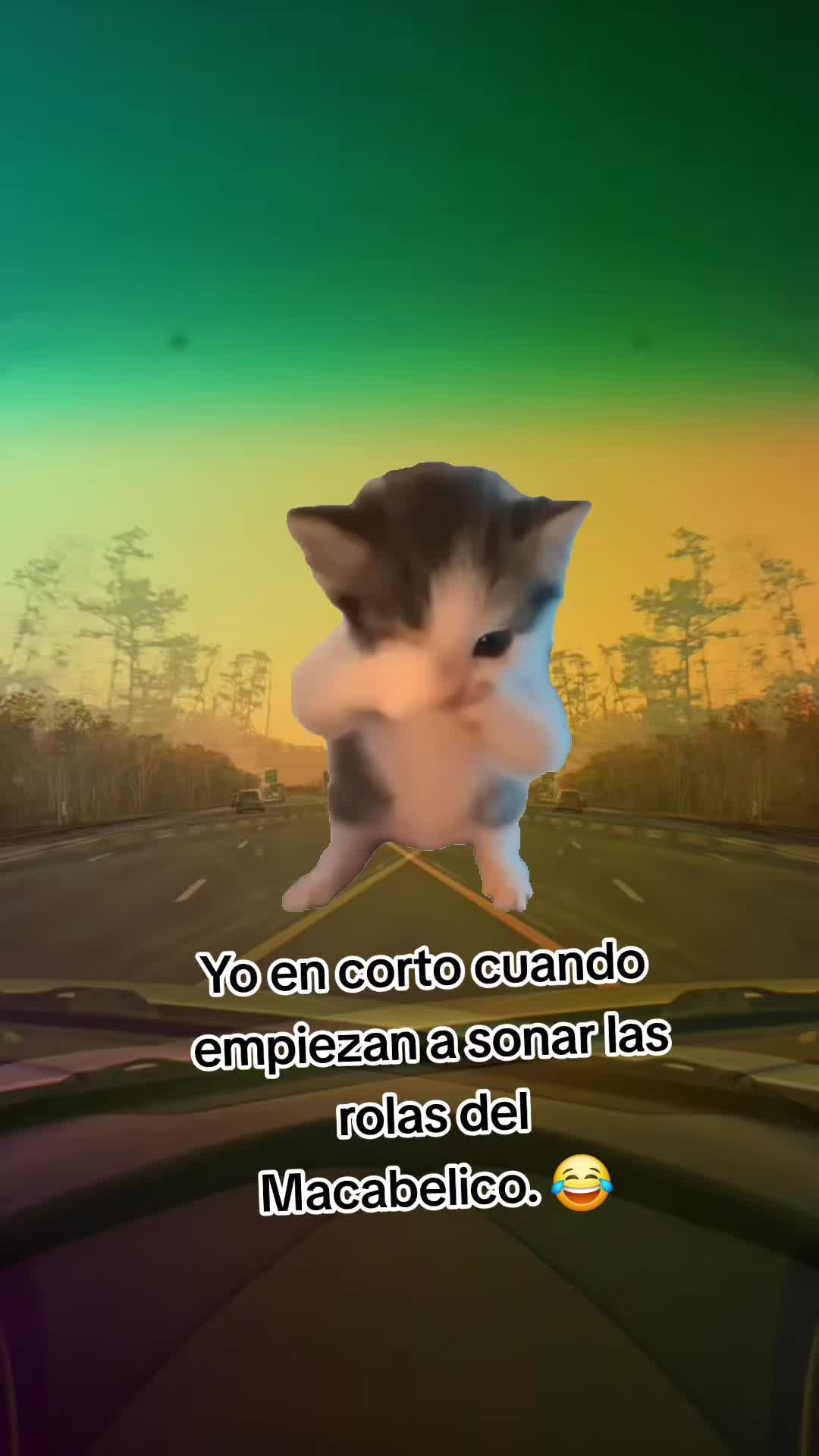 @🇲🇽Guli.Carrada 🐈&zwj;⬛