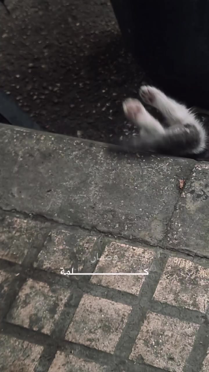 @Aʀᴍᴀɴ. ~ 
