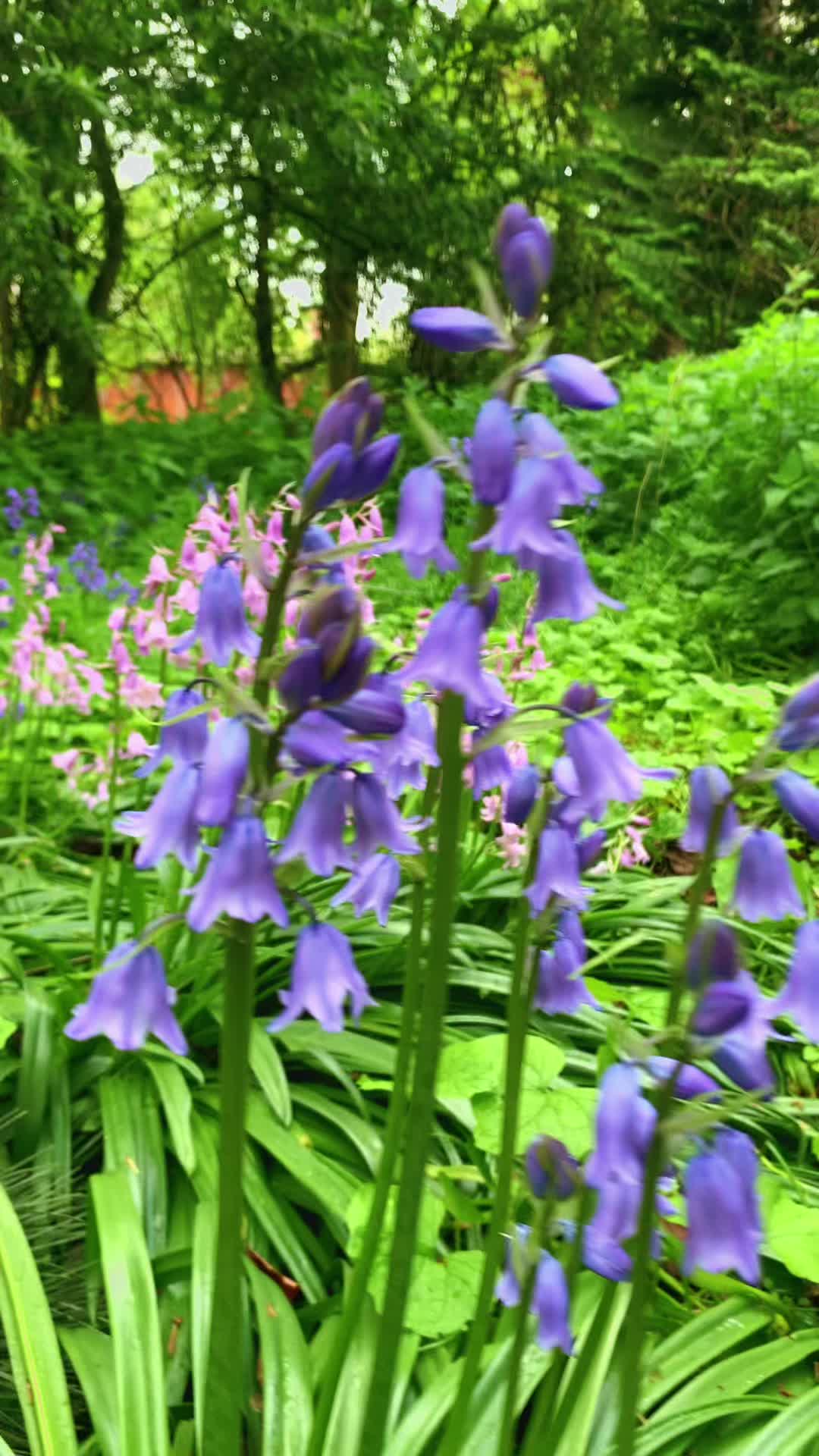 @UK_K!S_Travel