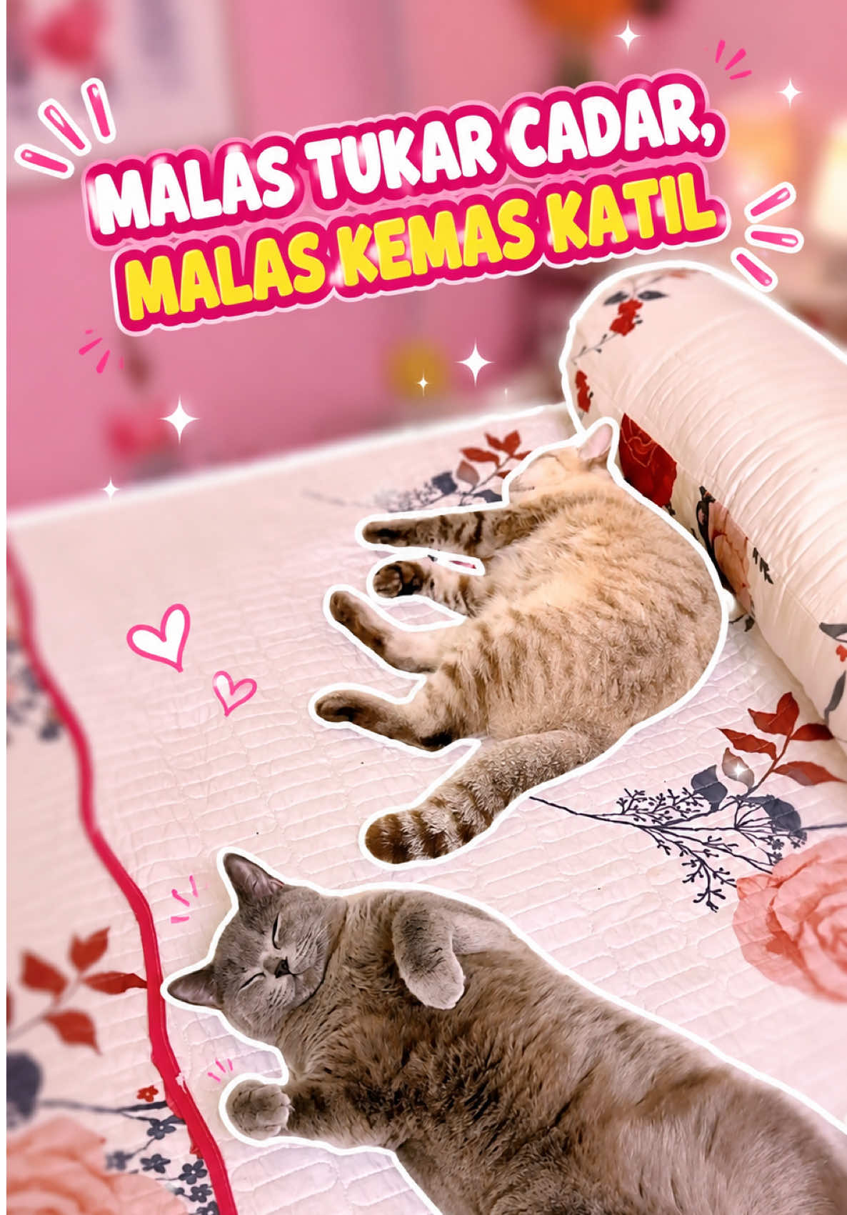 @maksu_tot