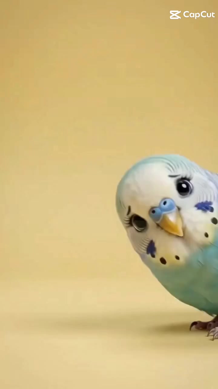 @𝕸𝖆𝖗𝖎𝖕𝖔𝖘𝖆 🦋