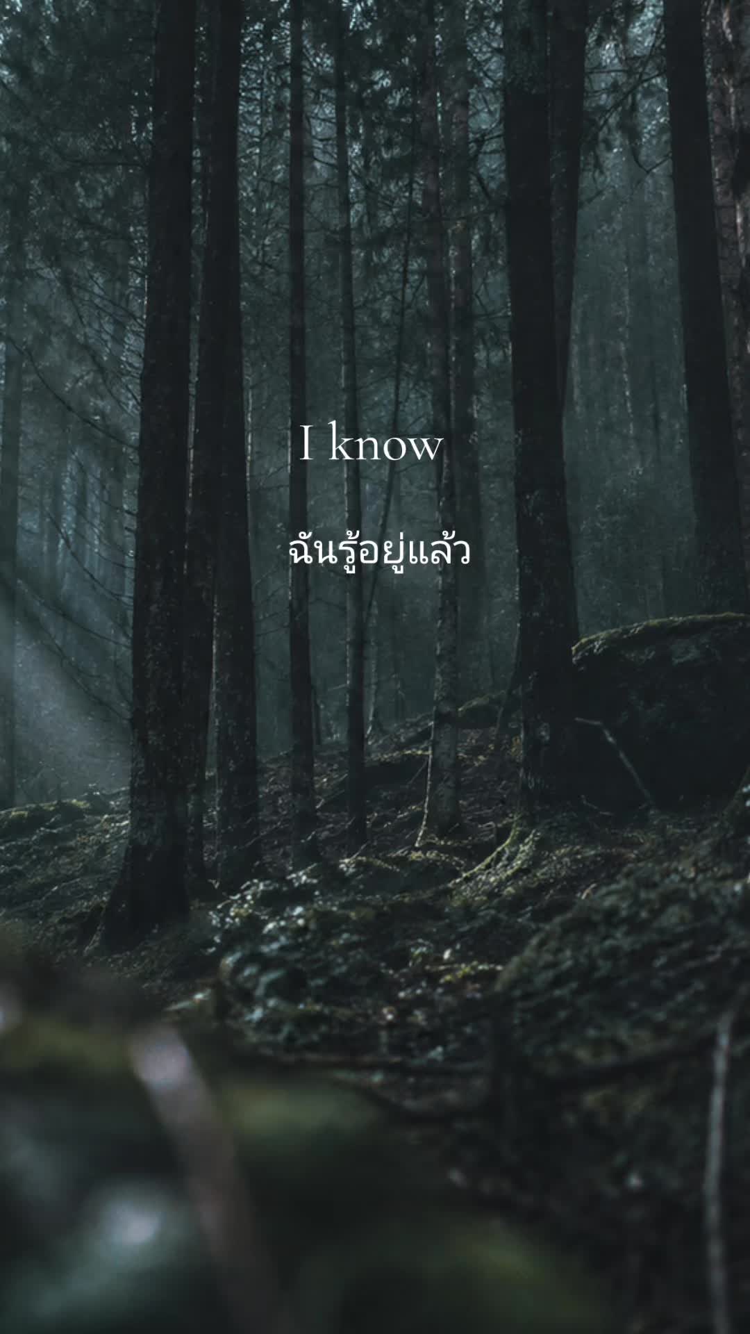 @แปลไปทั่ว-Songs Addict