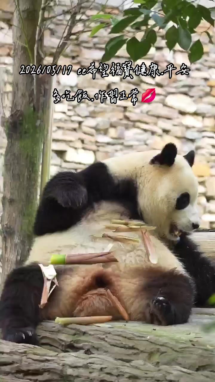 @福寶需要愛的抱抱