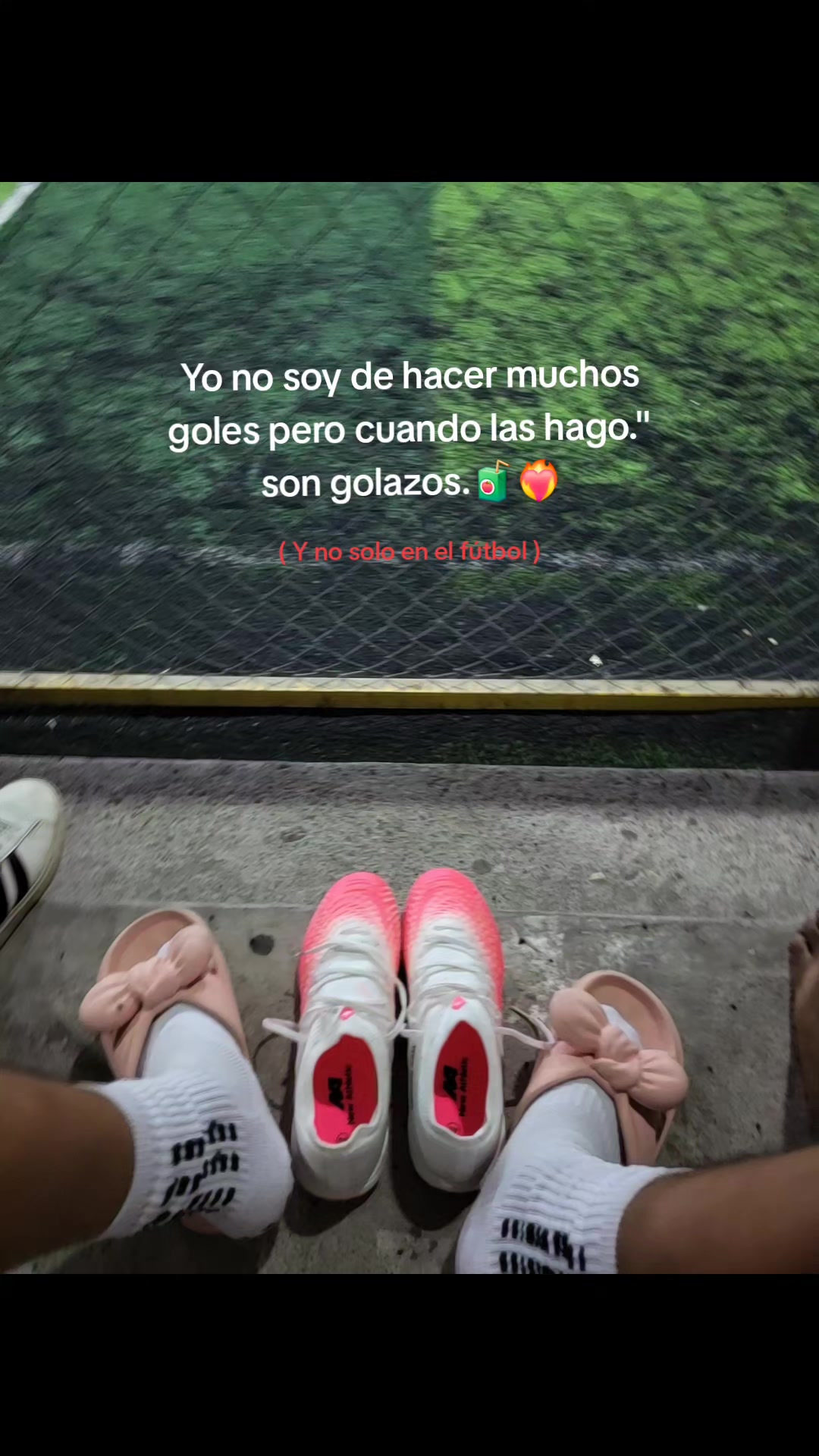 @Mayc 🐯