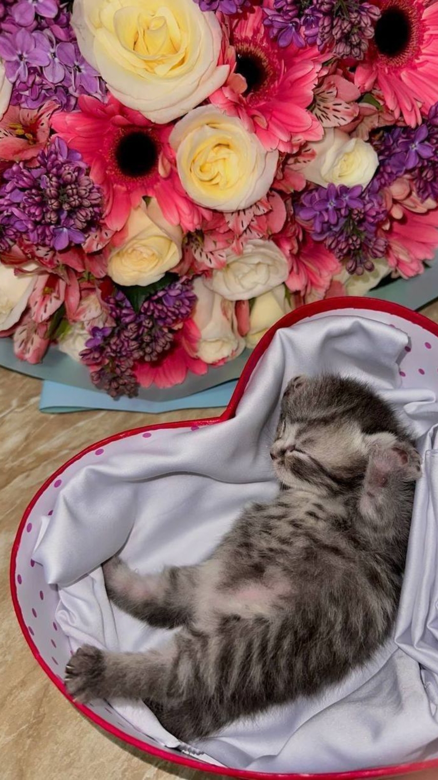 @Линочка Фонк𖣂