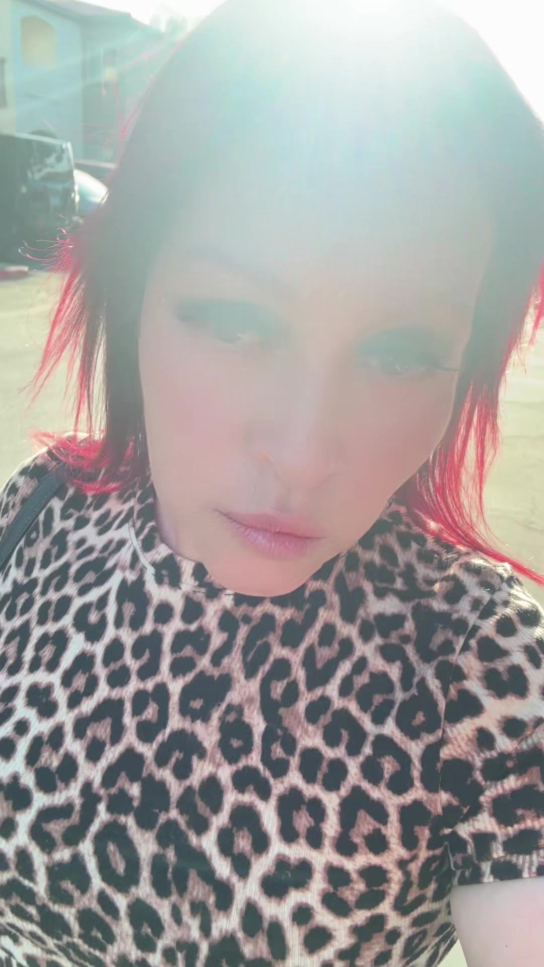 @marthamayorga381