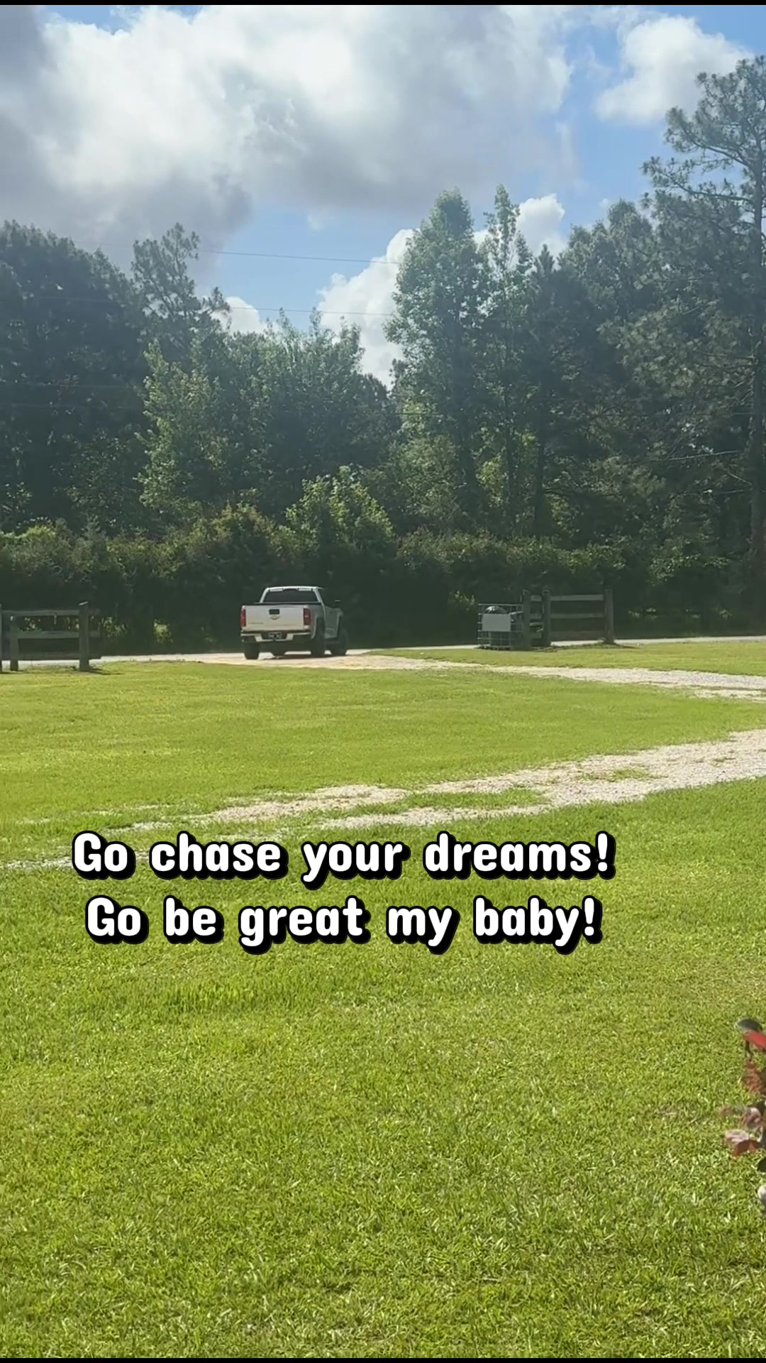 @Liane Turner