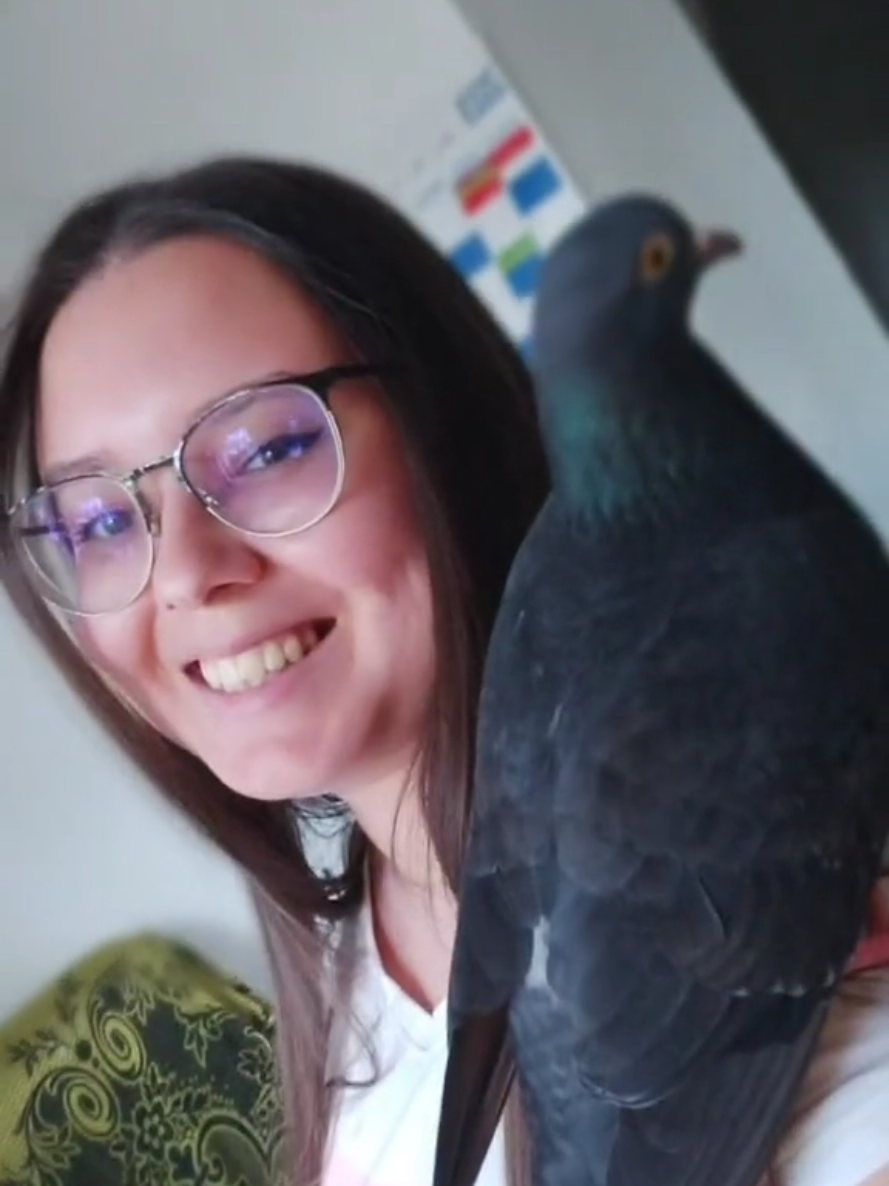 @Pigeon girl🥰🐦