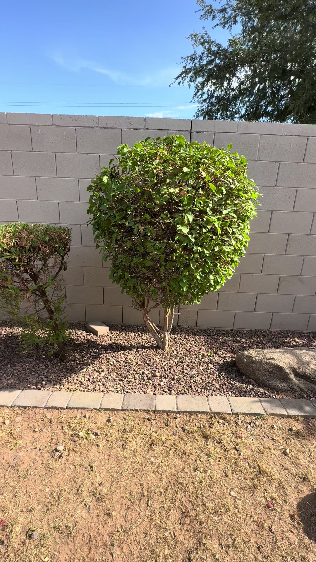 @landscaping