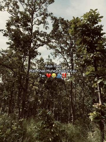 @ApplEE       🍎