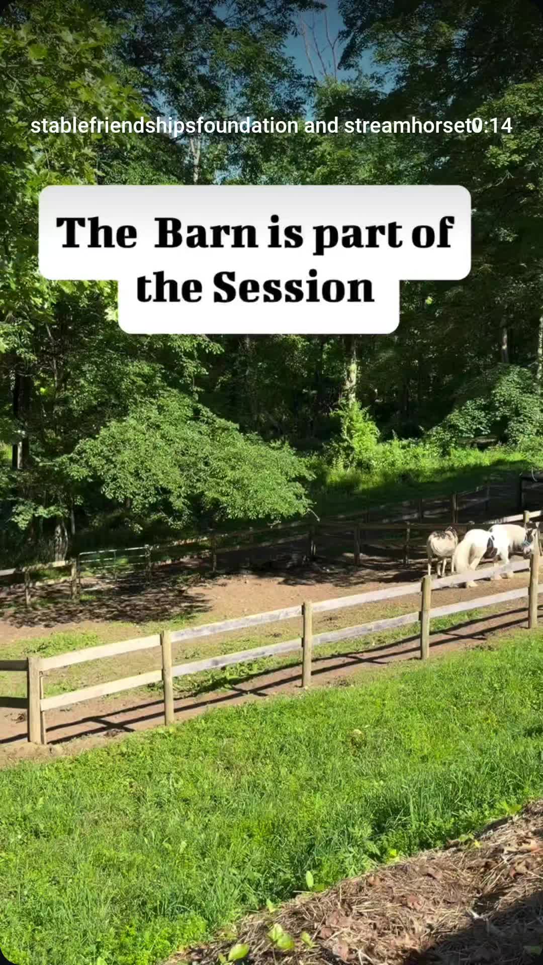 @streamhorse