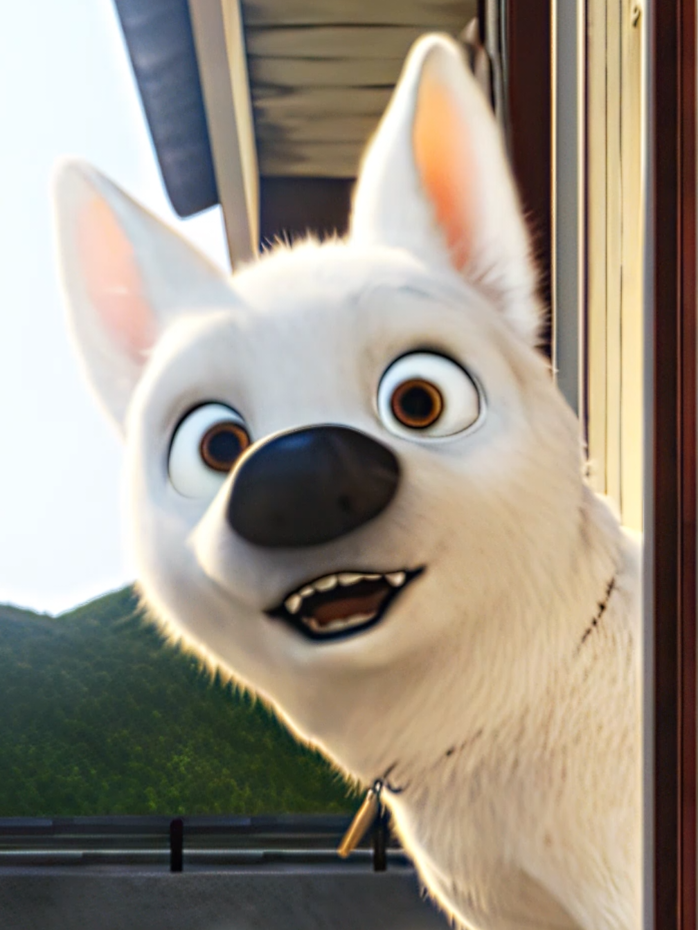 @Nickyᶠᵒˣ