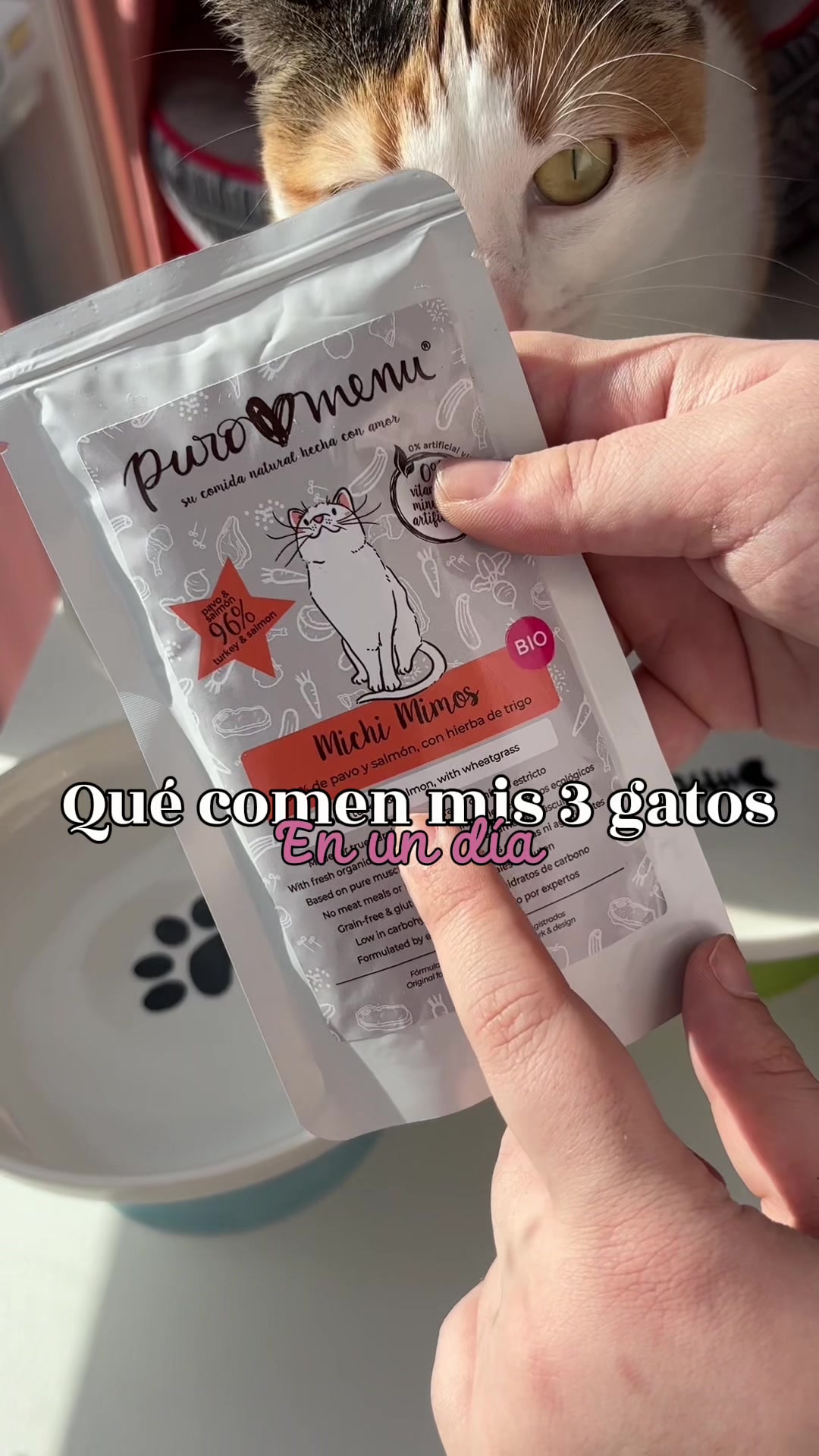 @- Alejandra 🐱💕