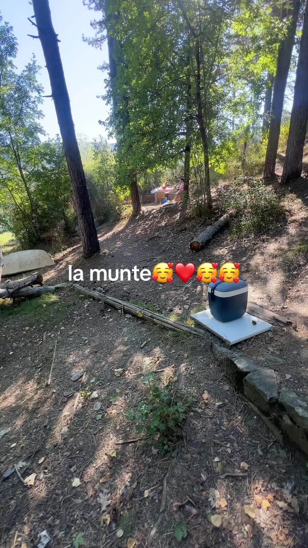 @RobertPredoiu