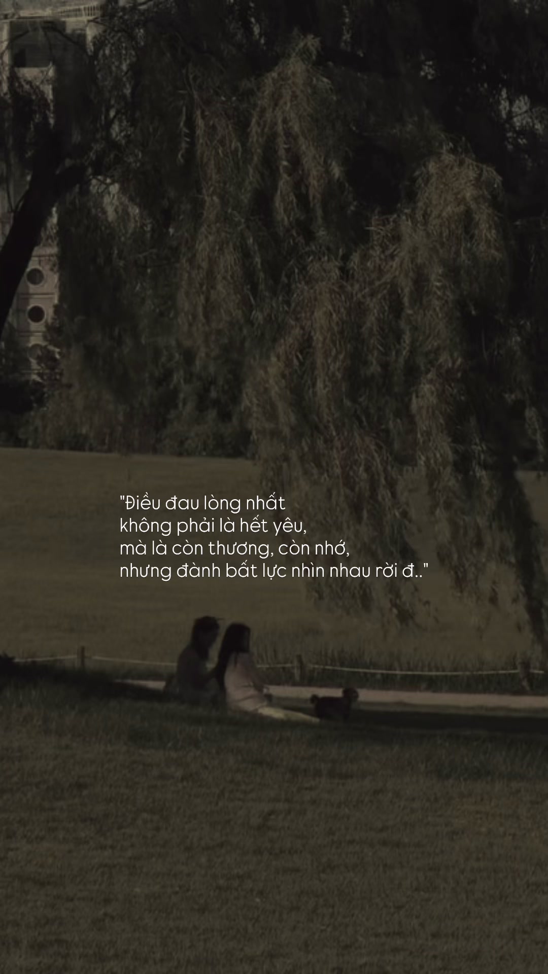 @Người Hiểu Chuyện