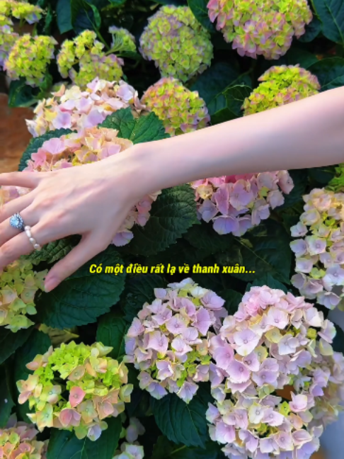 @Sống Chậm Lại