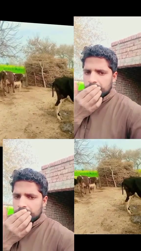 @qalab Abbas 736