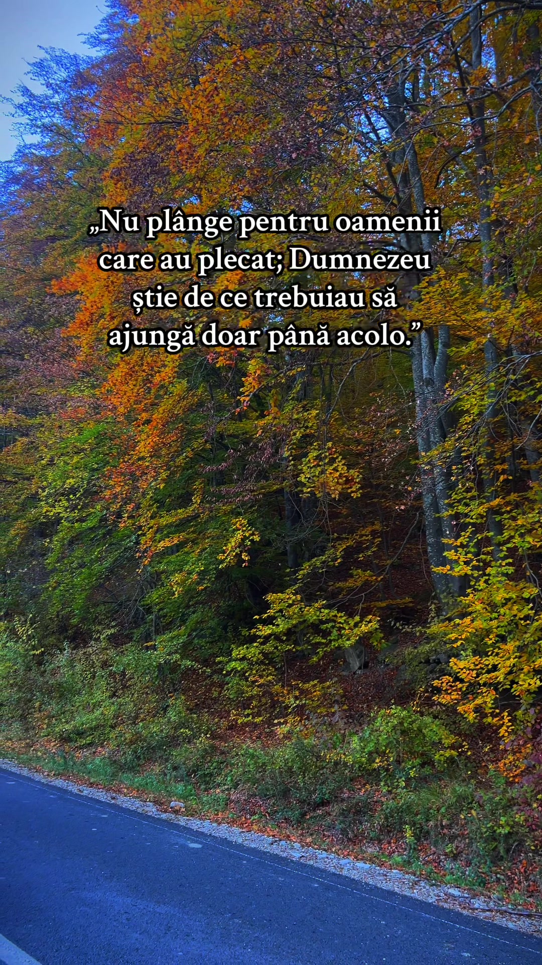 @ionut_kiki