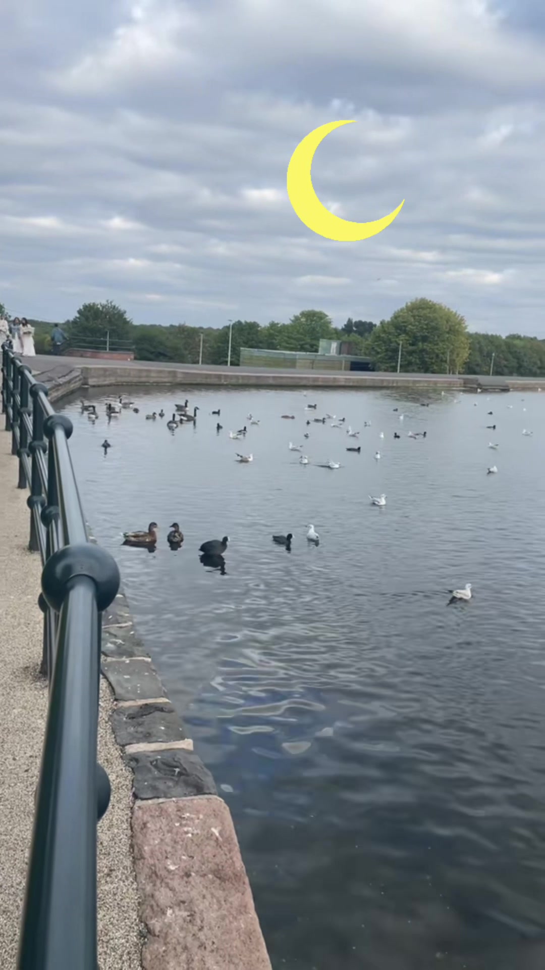 @Indu 🇬🇧