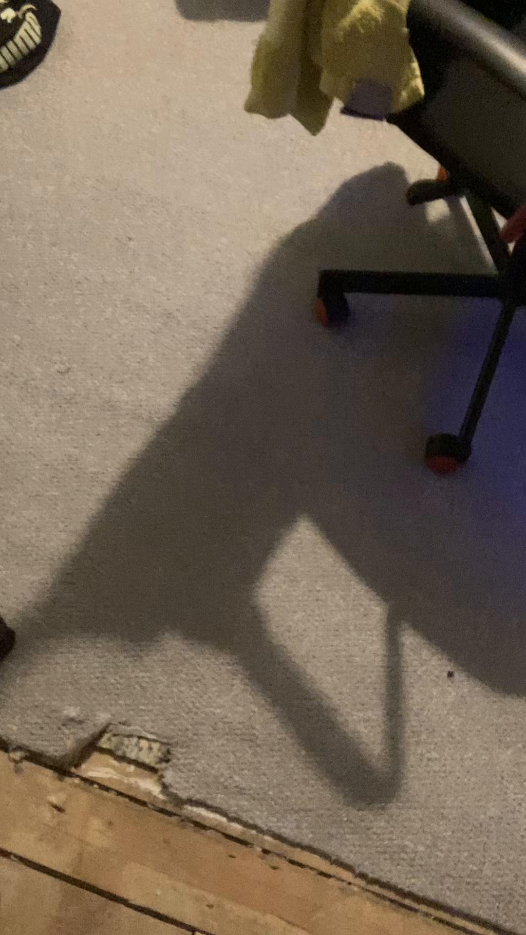@EthanVA