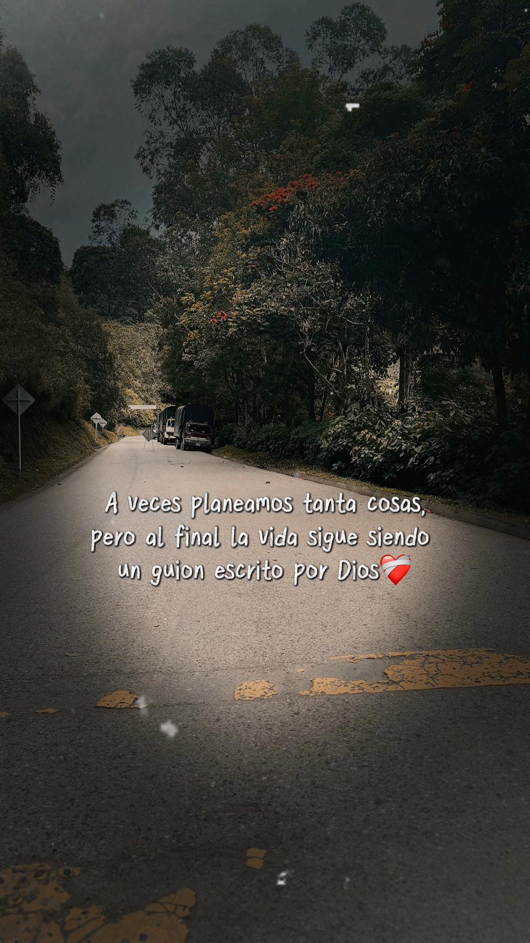 @Vivian🦦💜