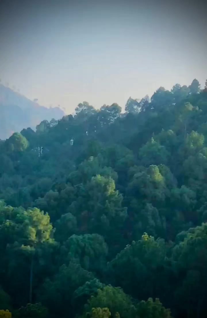 @ولید سدوزئی🍁