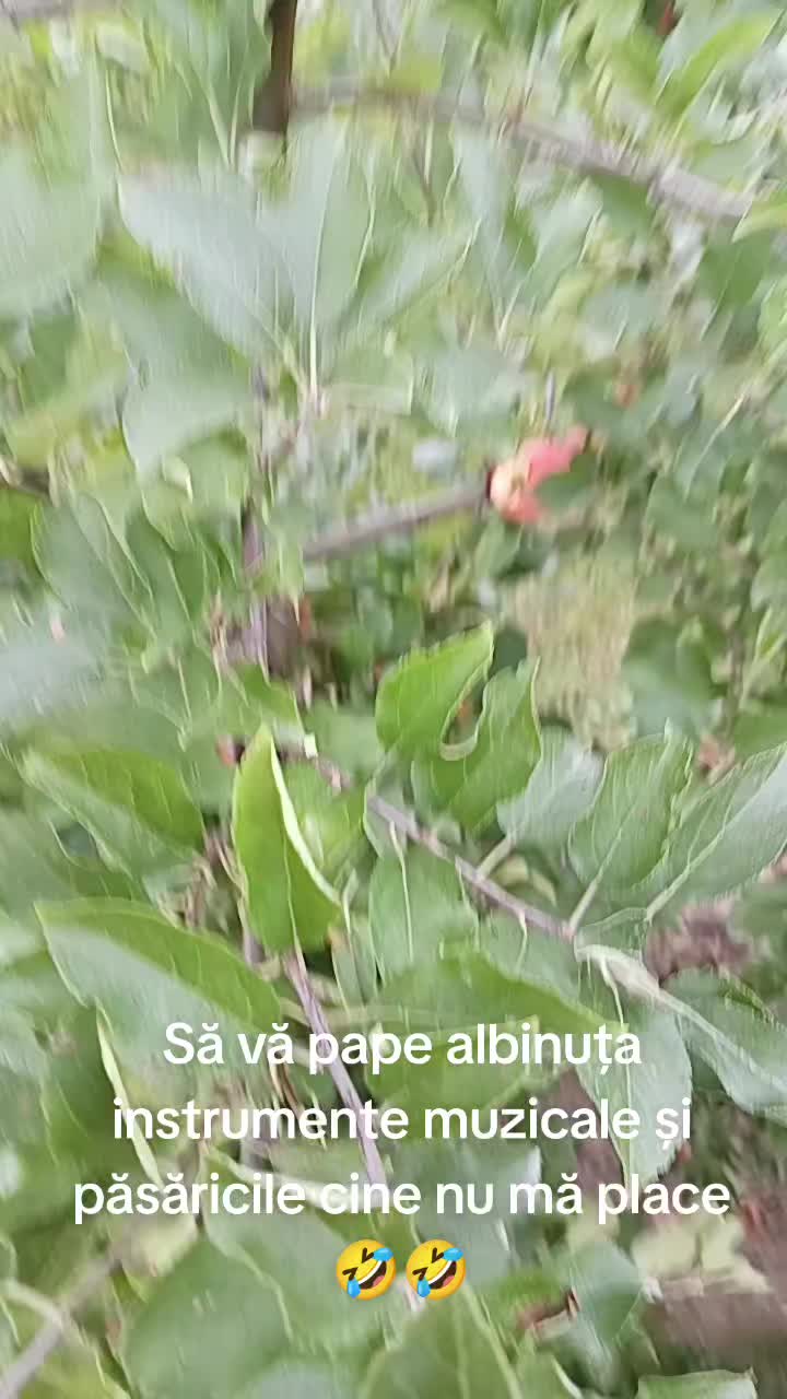 @Ciotârcă Ovidiu!