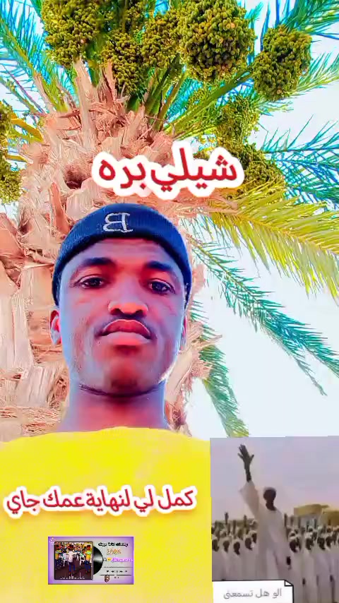 @حامدشعيب ودشمار 🇸🇩🇳🇬⚔️