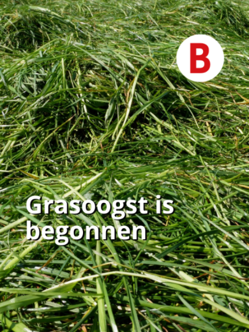 @Boerderij