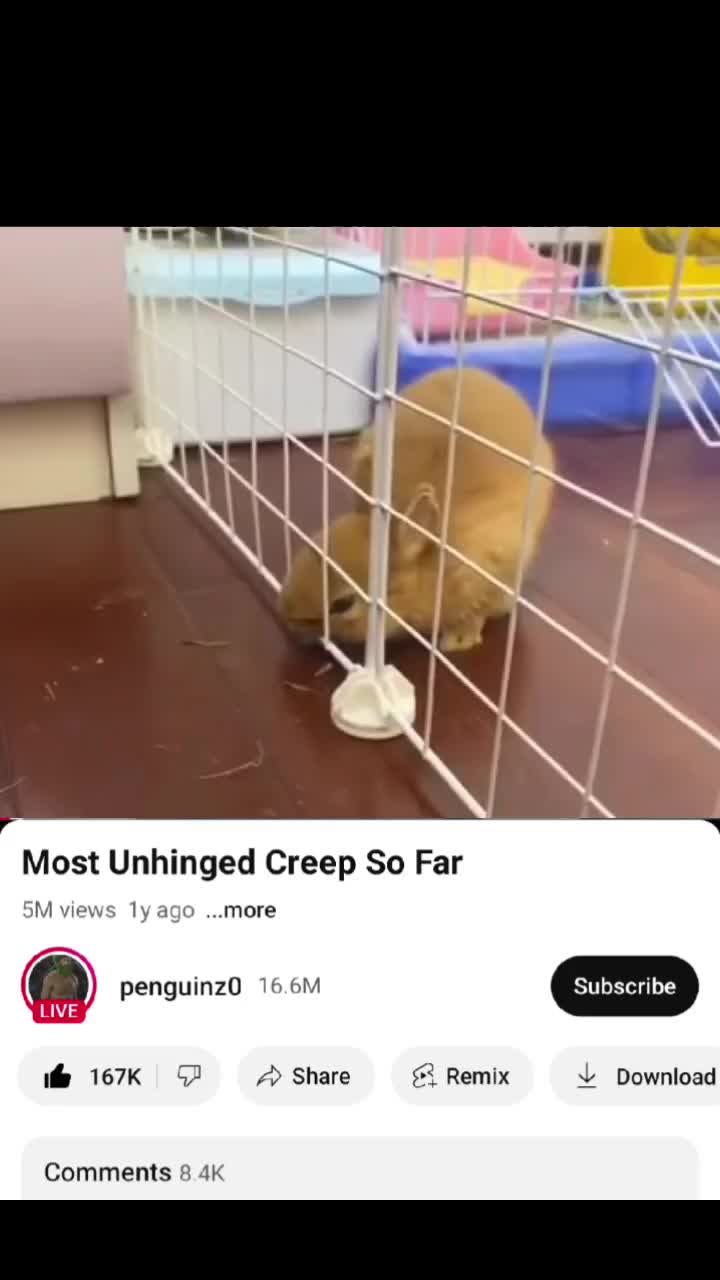 @I like bunnies