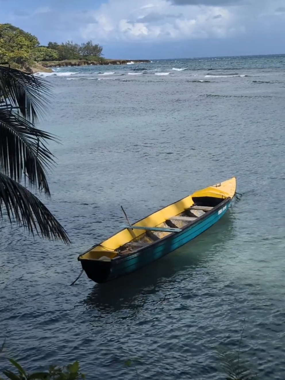 @Jamaica Untouched