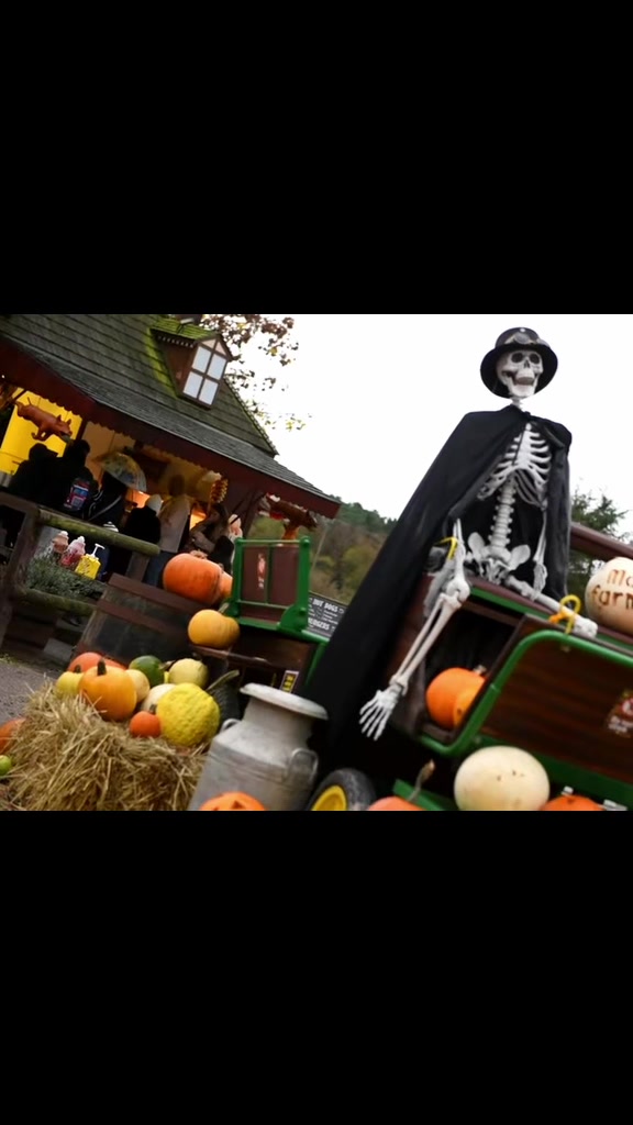 @Matlock Farm Park