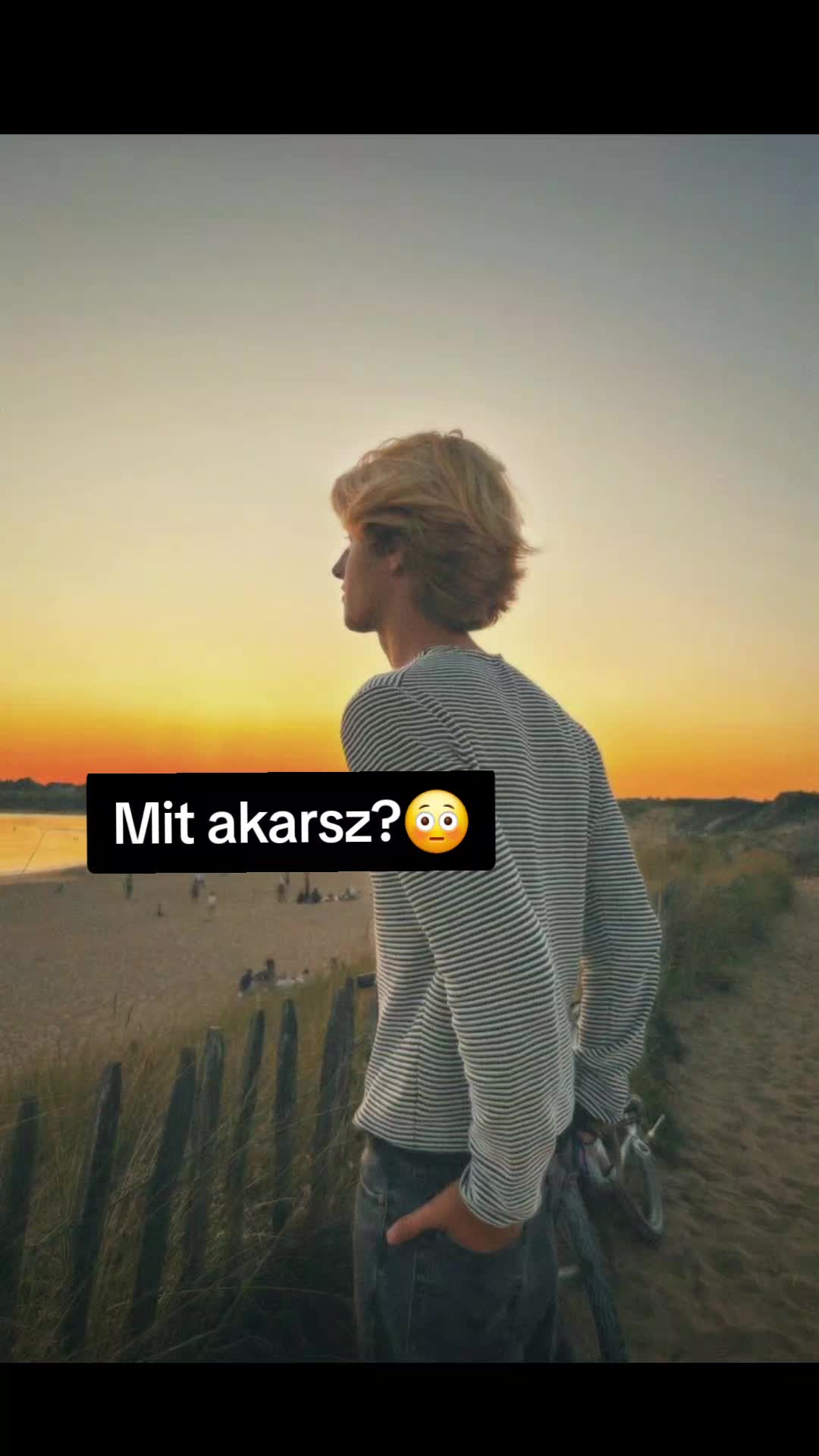 @Mezőföldi Pitypang író✍️