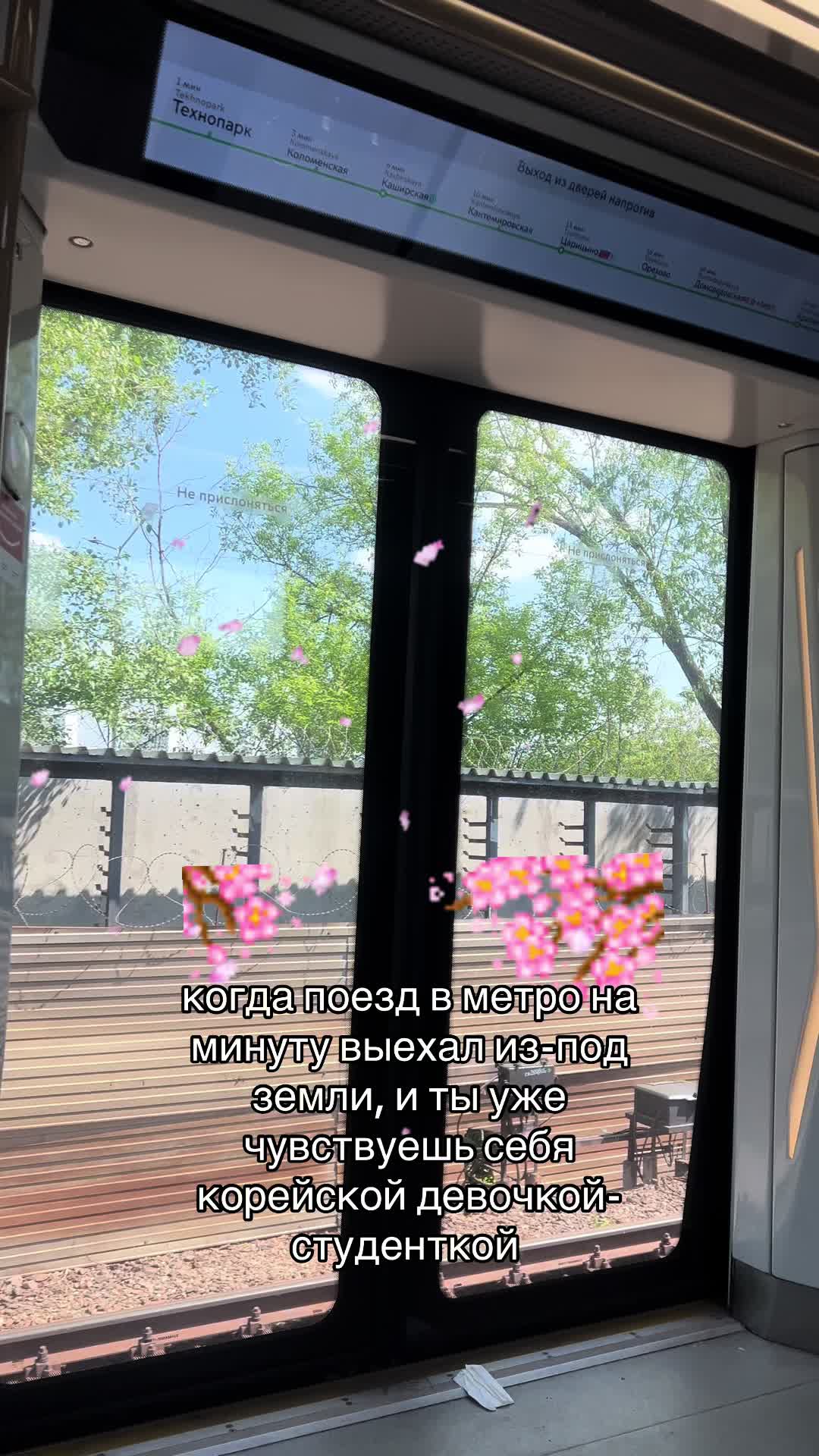@HIMERA
