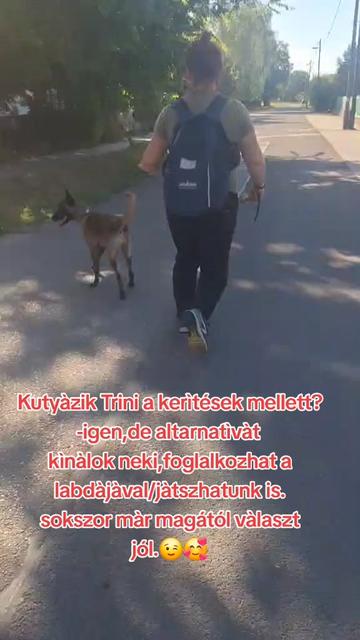 @Viki-Kutyakozmetika Másképp