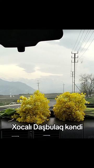 @Yegane.Laçınlı