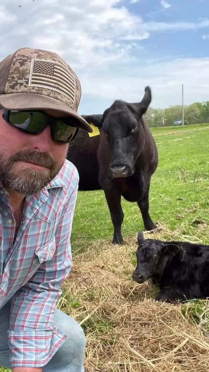 @HFFcattleman