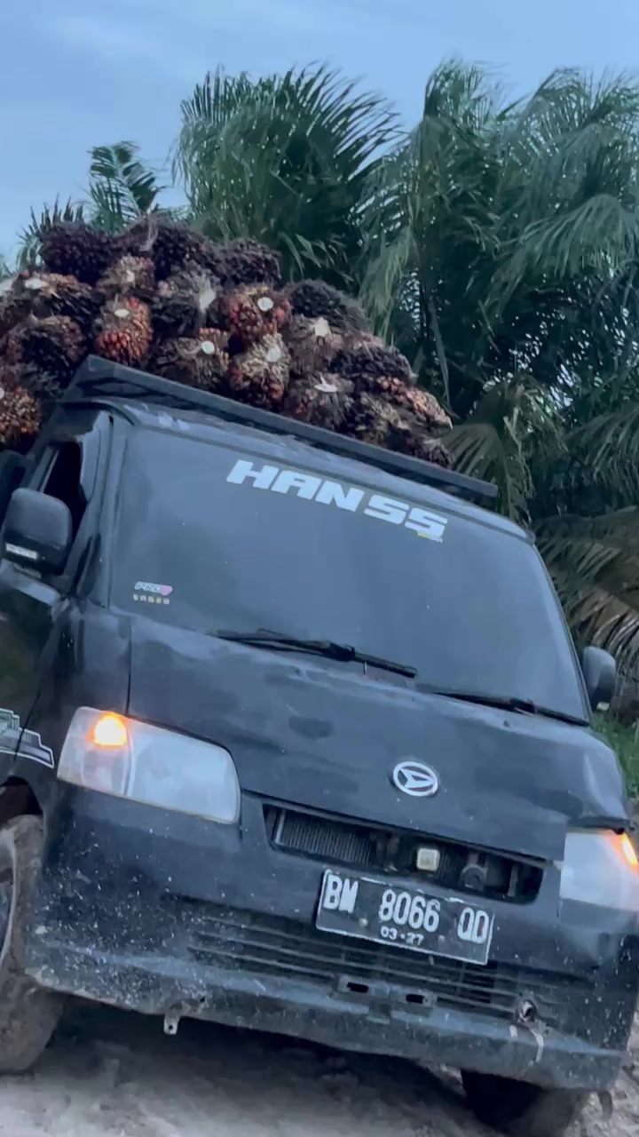 @HANSS GROUP