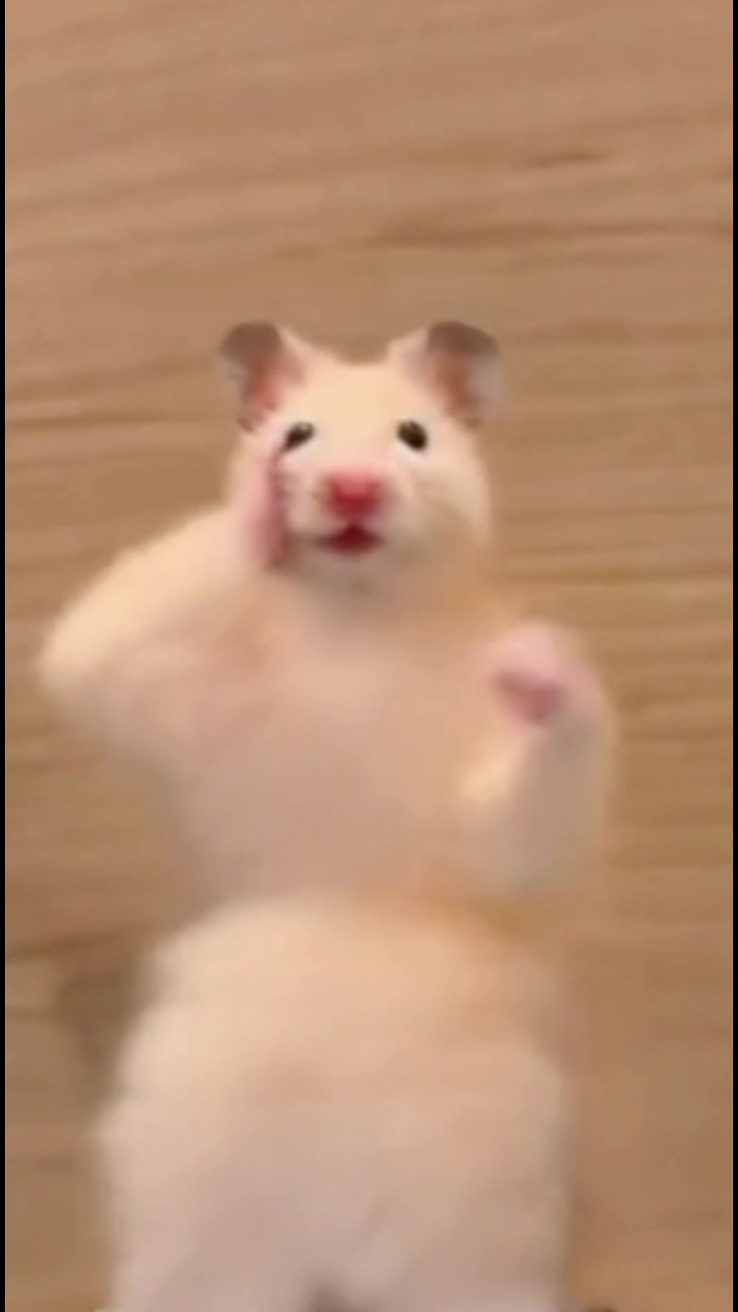@FCham