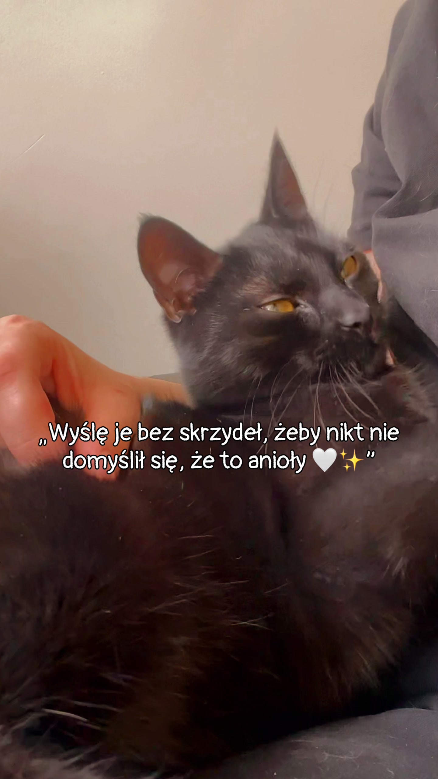 @IG: mrrrtasy