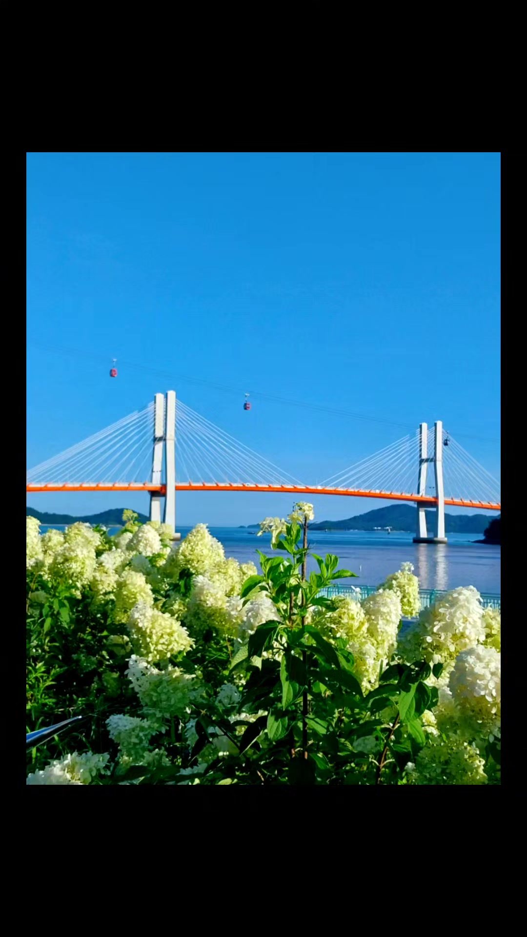 @@무소유@뚜버기@