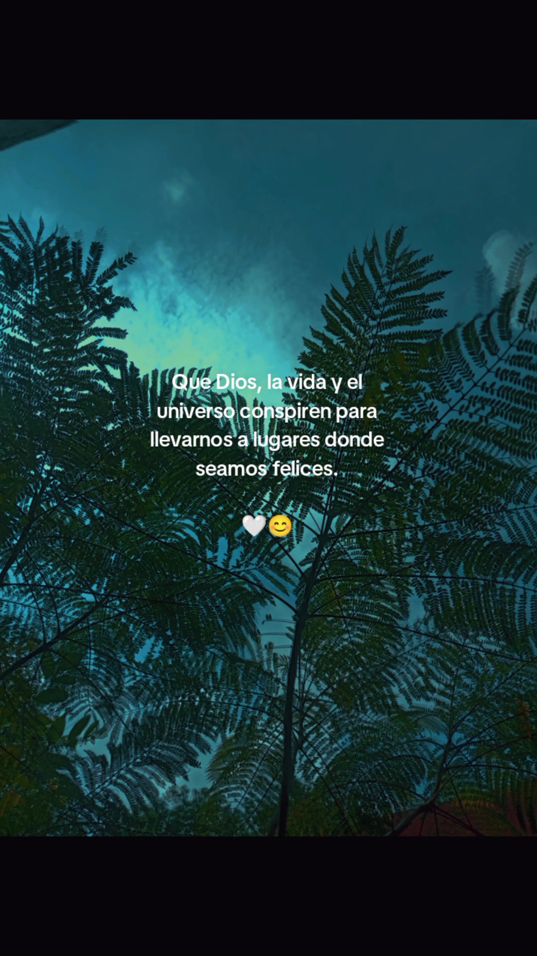 @paubonii