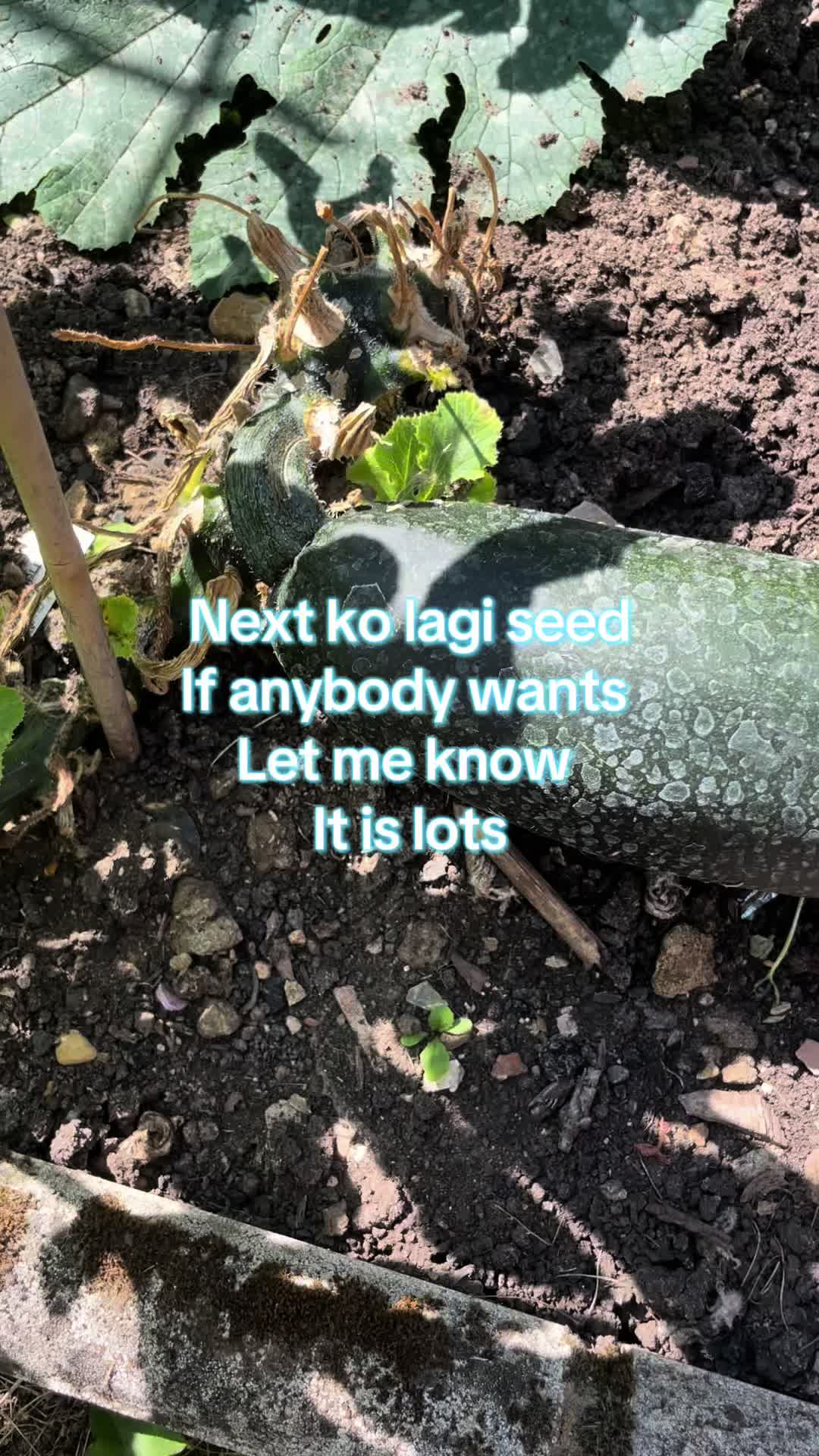 @SP