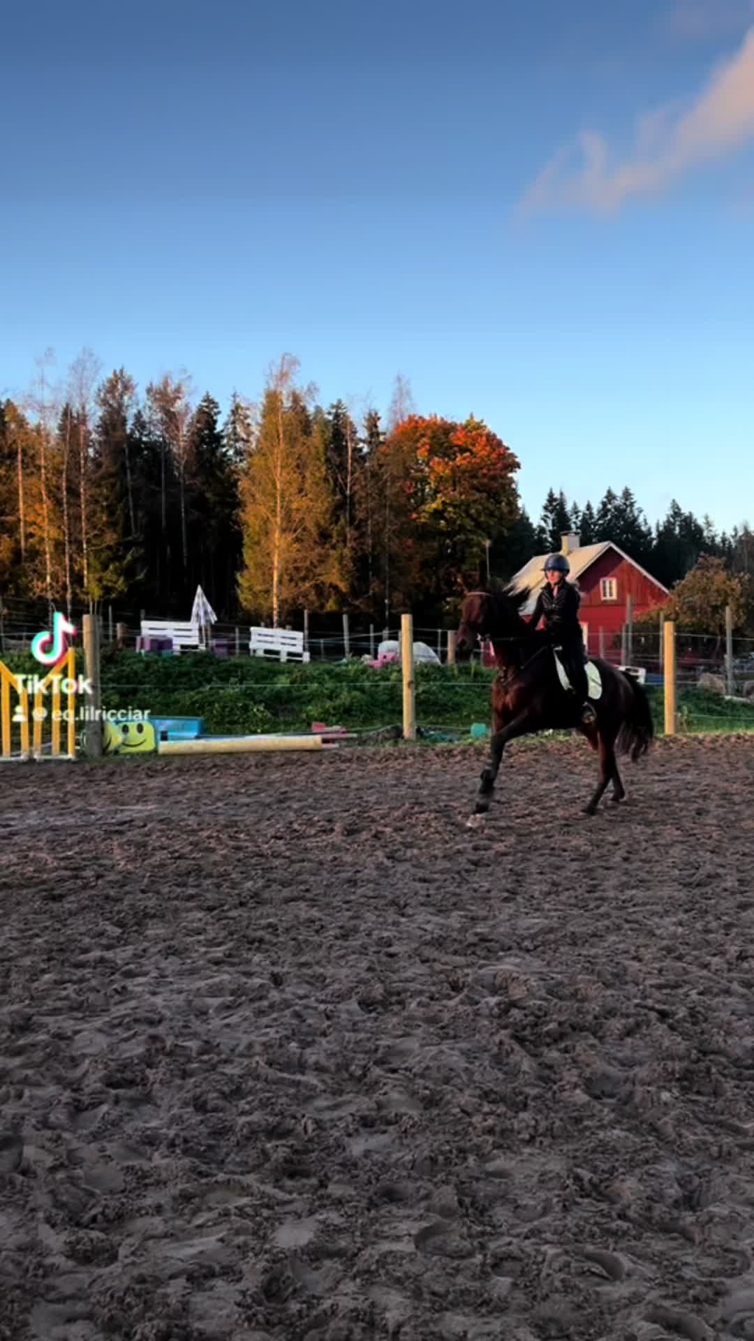 @eq.ricciardella