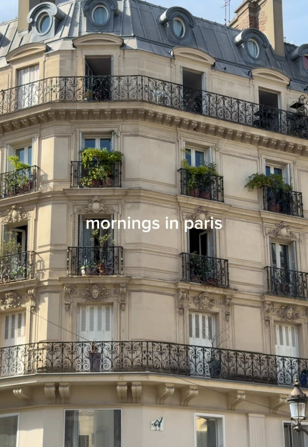 @carol ☁️