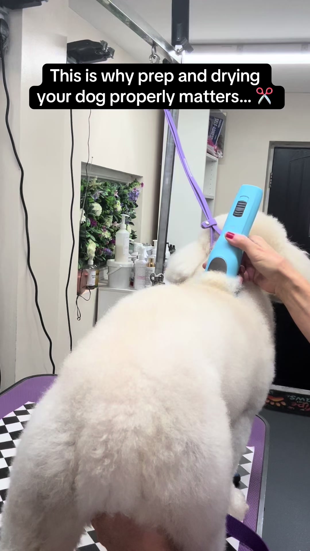 @Poochiepoosdoggrooming